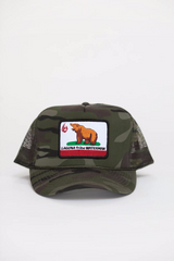 Cal-Bear