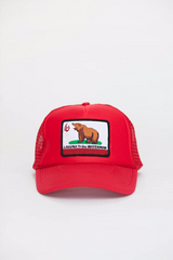 Cal-Bear