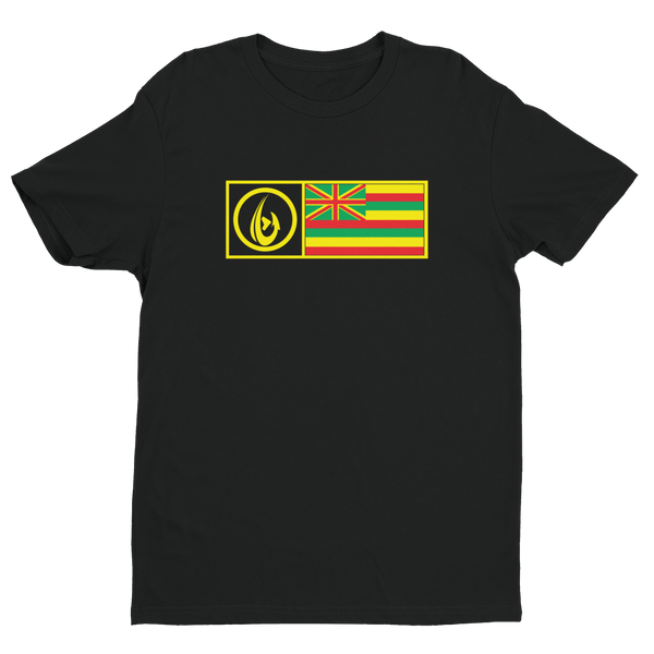 Stand UP Logo Hawaii